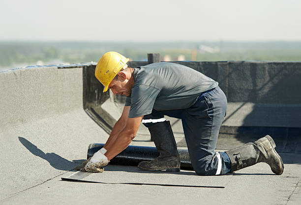 Best Commercial Insulation in Creedmoor, NC