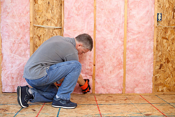 Best Eco-Friendly Insulation in Creedmoor, NC